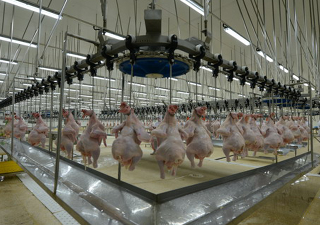 PA�콢��ƽ̨(�й���)�ٷ���վ-PA PlayAce