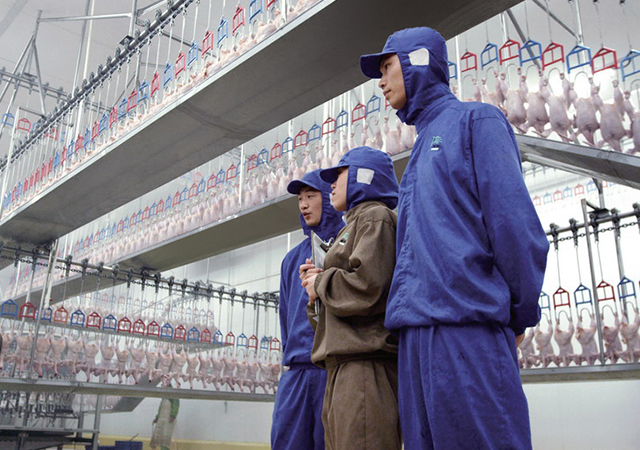 PA�콢��ƽ̨(�й���)�ٷ���վ-PA PlayAce