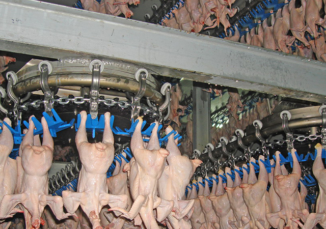 PA�콢��ƽ̨(�й���)�ٷ���վ-PA PlayAce