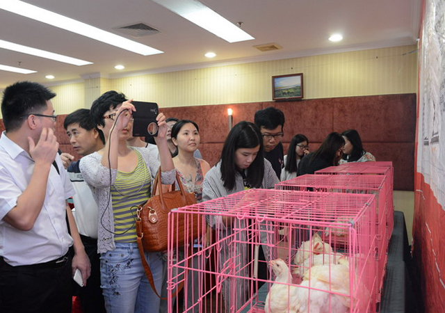 PA�콢��ƽ̨(�й���)�ٷ���վ-PA PlayAce