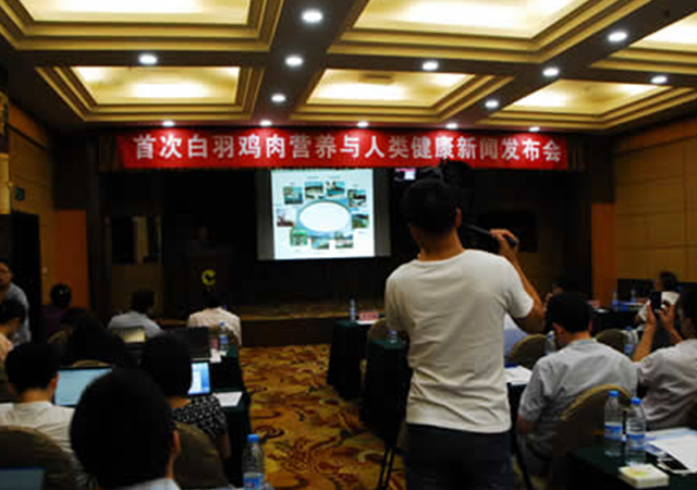 PA�콢��ƽ̨(�й���)�ٷ���վ-PA PlayAce