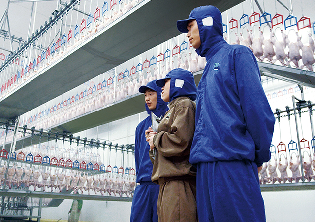 PA�콢��ƽ̨(�й���)�ٷ���վ-PA PlayAce