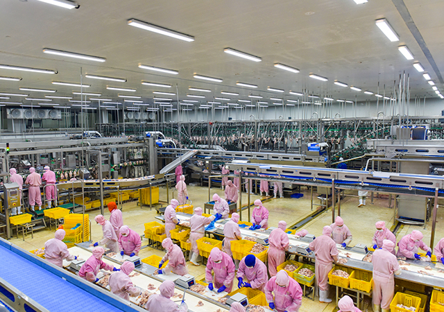 PA�콢��ƽ̨(�й���)�ٷ���վ-PA PlayAce