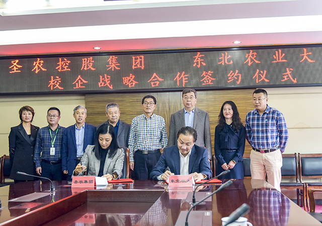 PA�콢��ƽ̨(�й���)�ٷ���վ-PA PlayAce