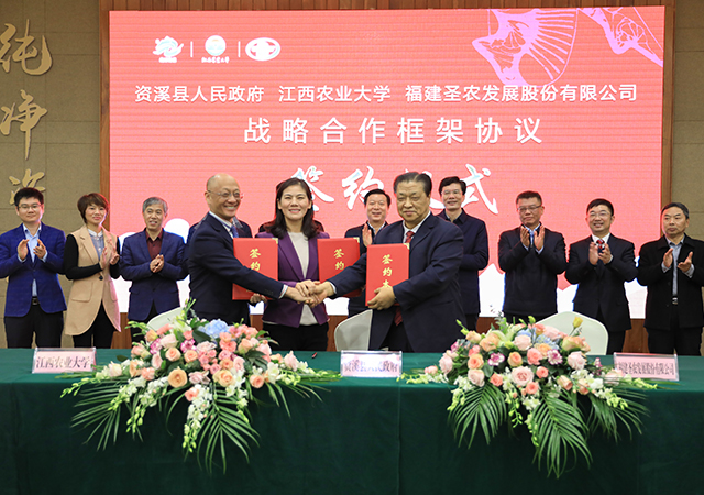 PA�콢��ƽ̨(�й���)�ٷ���վ-PA PlayAce